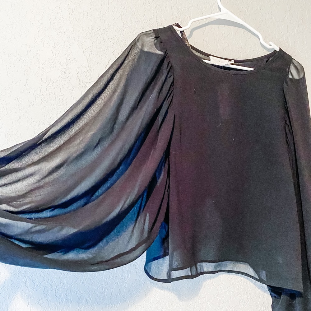 Lush sheer sleeve/tulip sheer back blouse